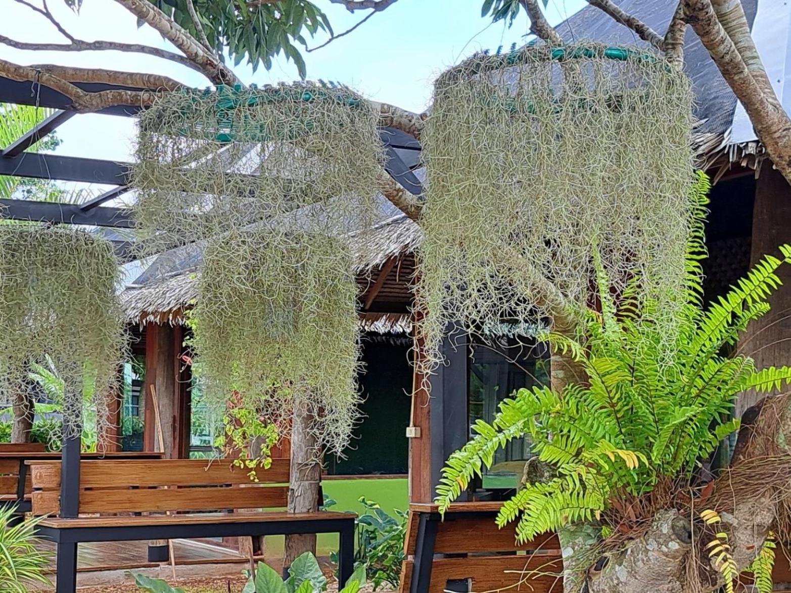 Kham Ecolodge Chiang Saen Esterno foto